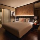 뉴욕드라이크리닝 이미지