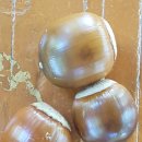 부광고등학교 이미지