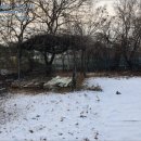 탄현중학교 버스정류장 이미지