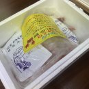 국게대표 이미지