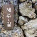 서귀동-23 이미지