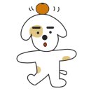 커들리 퍼피 창원강아지 분양 이미지