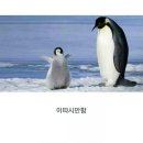 오야스미 이미지