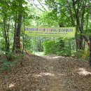 교하체육공원 이미지