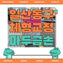 통증 잡는 마사지볼 | [경기 고양] 마두금손으로 잡는 일산동구체형교정 &amp; 고양마사지
