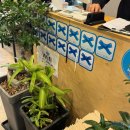 부부식당 | 구례 다슬기무침맛집 부부식당 내돈내산 솔직후기