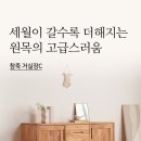 도현갤러리 이미지