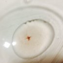 비에스케이코퍼레이션가로수길점 | [더바디샵 마스크 추천] 에너지충전 팩 아마조니안 아사히 에너자이징 레디언스 마스크 / 환절기 피부...