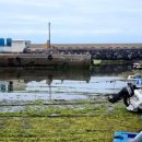 오인영어조합법인 이미지