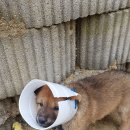 우치농장 이미지