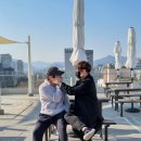 힐링몽냥 이미지