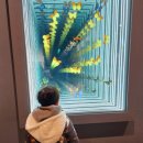 황금박쥐생태관 옆 이미지