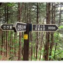 선촌1리 마을회관 이미지