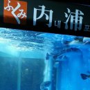 내포복집 이미지