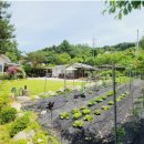 가평우리펜션 이미지