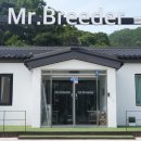 미스터브리더 네이버블로그