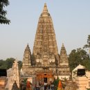 보드가야(BODHGAYA) 이미지