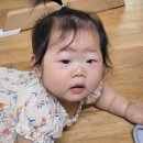 외할머니를 닮은 집 | 8개월 아기 일상 👶｜[생후265일~274일] 요리의 하루 ✨ 아기 첫 여행·잡고 서기·자기주도 간식 이야기