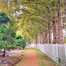 이화동산 이미지