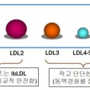 경화헬스 이미지