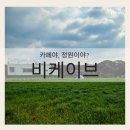 선흘 정원 | 카페야, 정원이야? 제주 동쪽 청보리가 예쁜 조천카페 비케이브