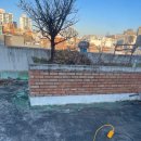 나무와흙 | 노원구 상계동 다세대주택 옥상 화단 철거, 방수 공사 전 흙과 나무 완벽 제거 후기