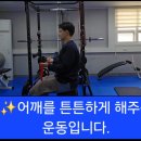 튼튼제일의원 이미지