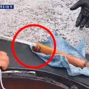 대가주유소 이미지