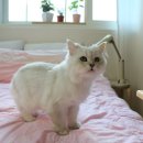 놀아줘 - 영등포구 선유동1로 6-7 | 놀아줘