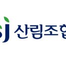 숲과함께
