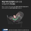 싸이벡스 제로나티(제로나T) 내돈내산 N개월 사용 후기