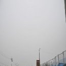 정태진 묘 이미지