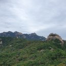 북한산 아구랑 명태랑 이미지