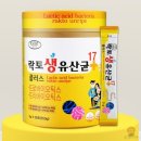 에버그린 이미지