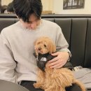 강하행정복지센터 (옥내1) | 일산 카페 추천 : 메리다 / 보타니카바이선리 / 애견 동반 카페