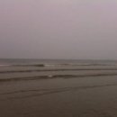 신성리생태공원 이미지