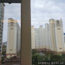 본리유리