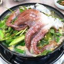 일품해물탕 문어해물탕 문어비빔밥 문어국밥 강원 삼척시 남양동 맛집 삼척 해물탕 맛집 이미지