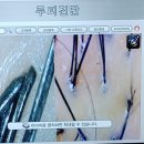 제이엠 헤어(JM헤어)