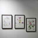 보태니컬 아트 이미지