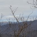 팔도장여관 이미지