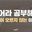 아이비티학원 - 남동구 논고개로123번길 35 | 아이비티학원