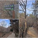 옥류천이야기길(소나무숲길) Daum카페