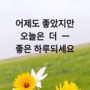 특별한당신에게 이미지