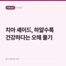 천안더맑은치과의원 | '치아는 하얄수록 건강하다'는 오해, 셰이드 색 단계가 알려주는 것