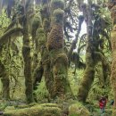 시애틀공원 이미지