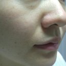 봉황목장 이미지