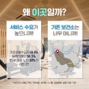 보건소(분소/지소) 이미지