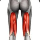 에스에스헬스장 이미지