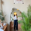 콤마에이치 이미지